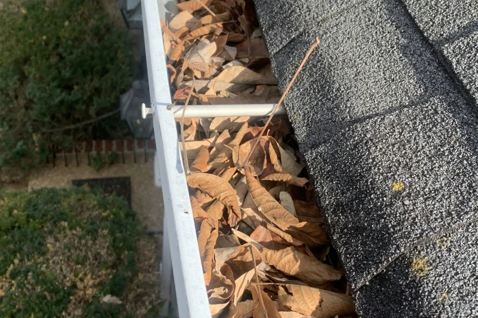 Gutter Cleaning Groveland FL