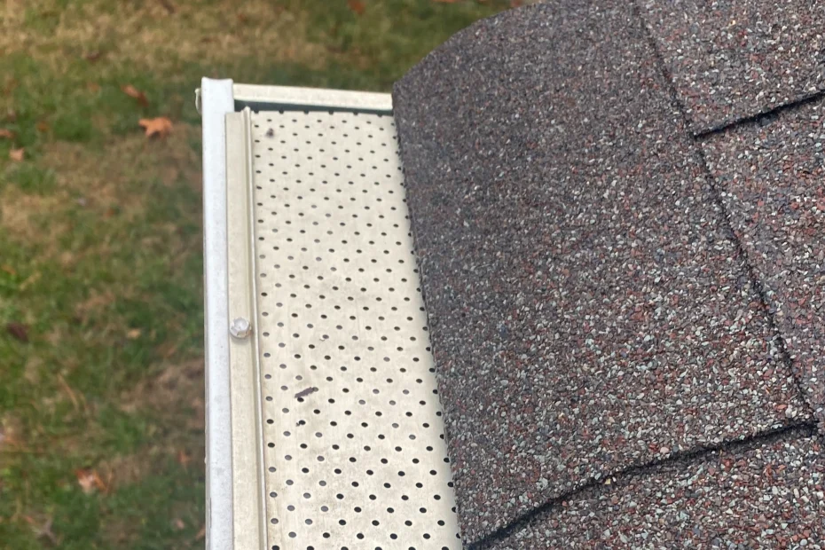 Gutter Cleaning Groveland FL