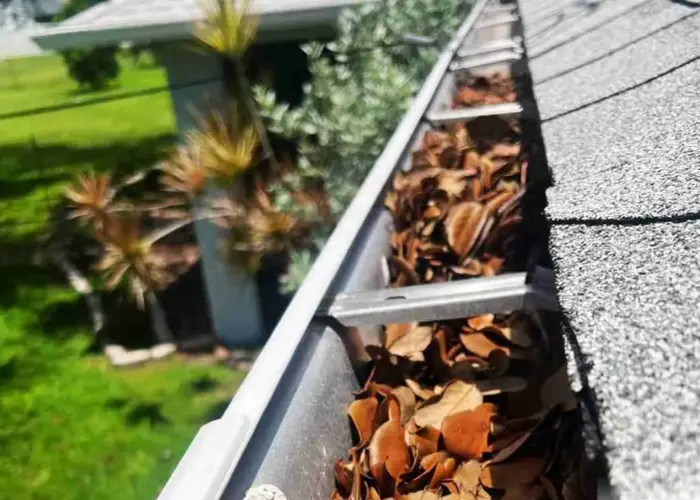 Gutter Cleaning Groveland FL home page