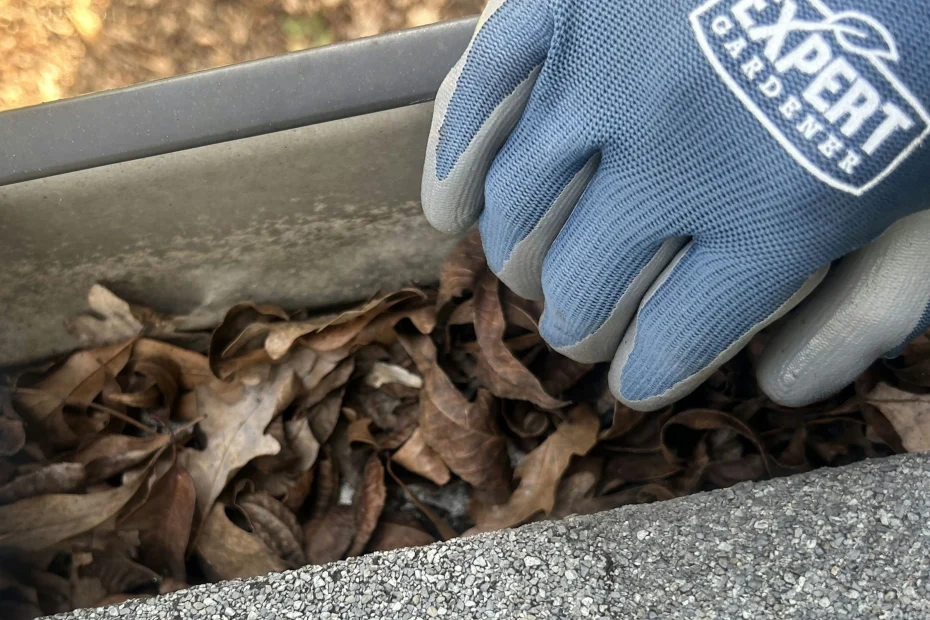 Groveland Gutter Cleaning